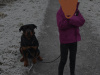 Murphy needs a home 5