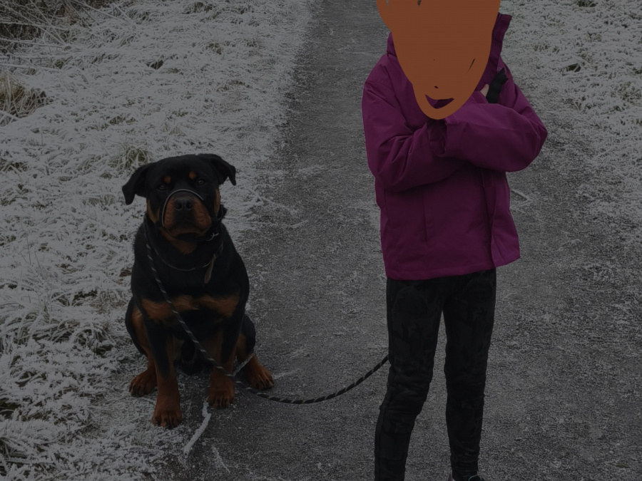 Murphy needs a home 5
