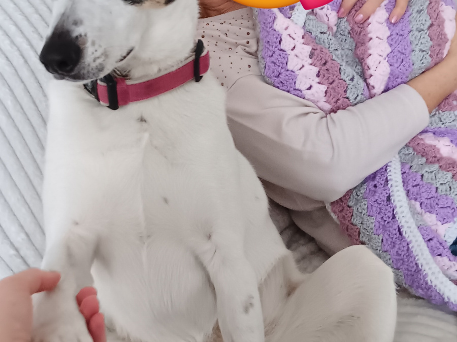 Sasha 3