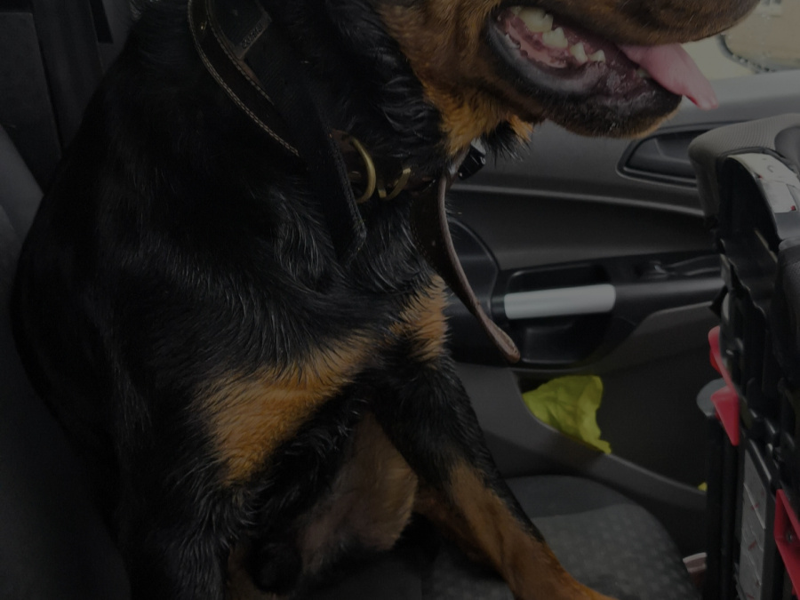 Move abroad happened next week :-( 6