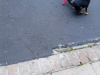 Chihuahua for sale in Galway - photo 3