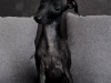 Italian Greyhound for sale in Meath - photo 3