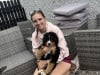 Bernese Mountain Dog for sale in Offaly - photo 3