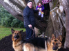 German Shepherd for sale in Kildare - photo 4