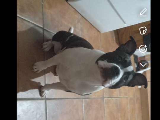 Free to good home