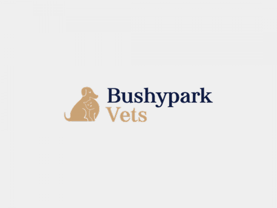 Bushyparkvets Vet Clinic Galway 1