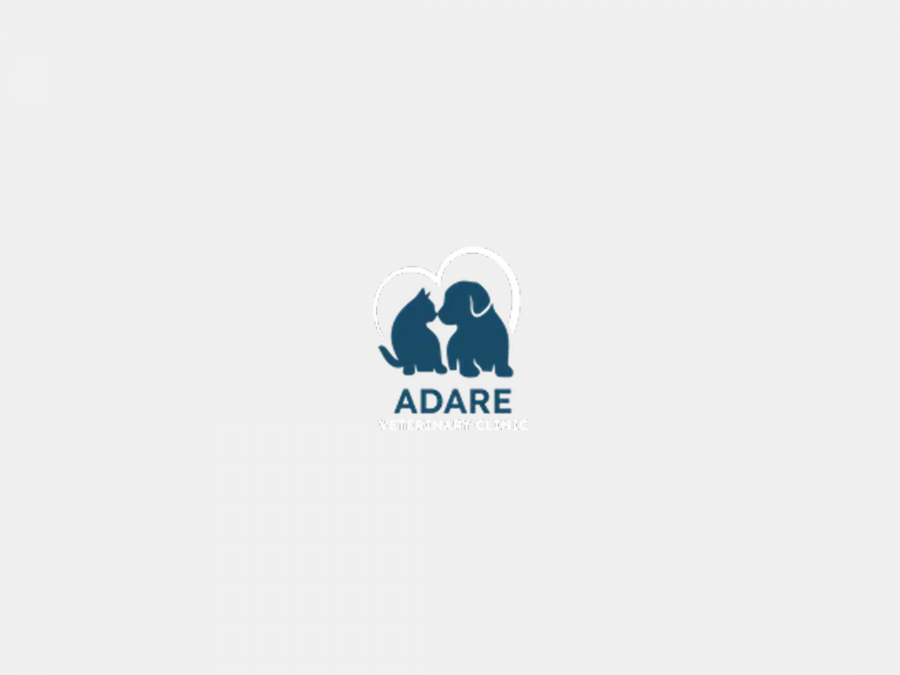 Adare Veterinary Clinic 1