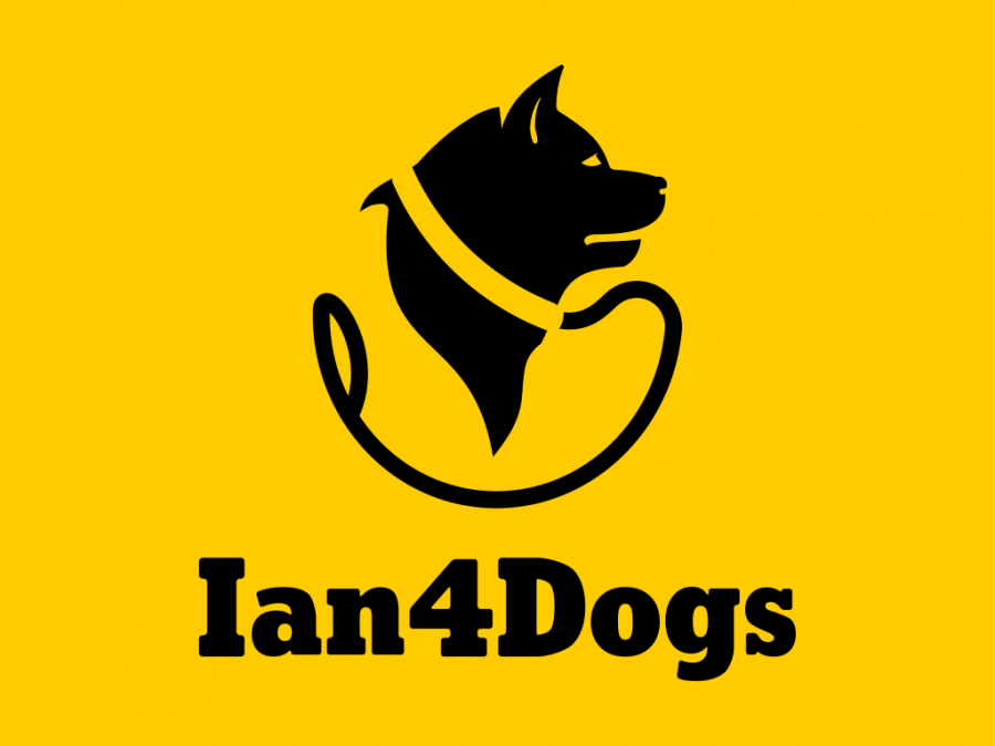 Ian4Dogs Training 3
