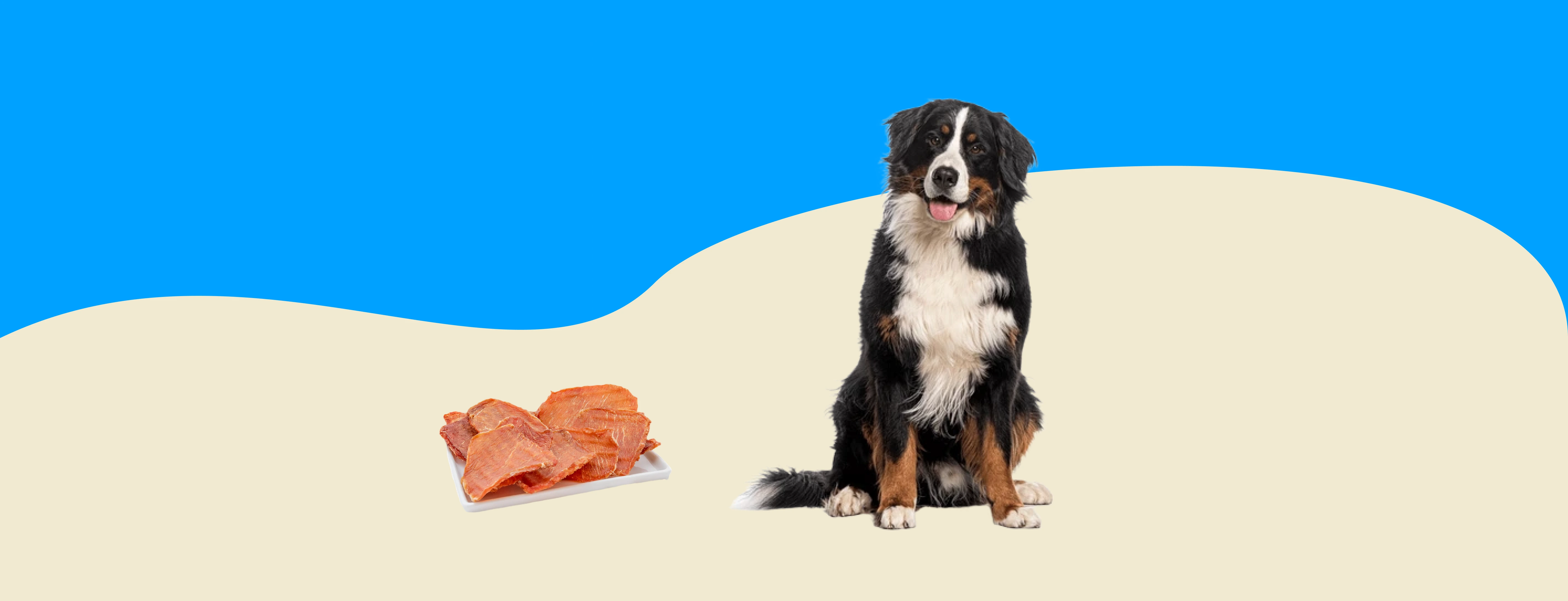 Can Dogs Eat Pork?