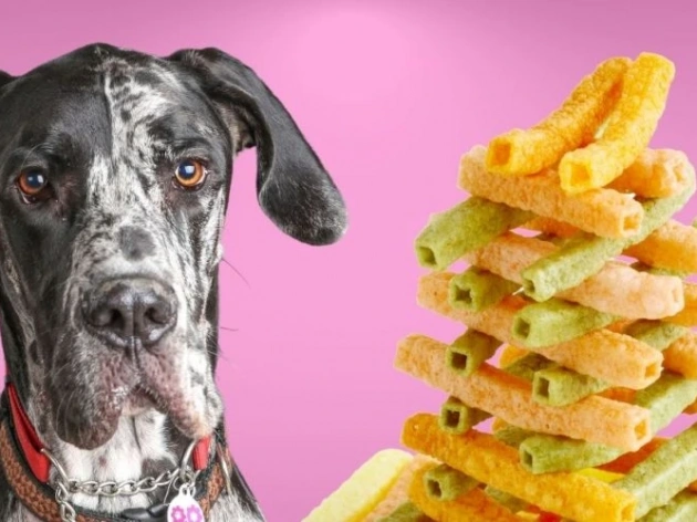 Can Dogs Eat Veggie Straws?