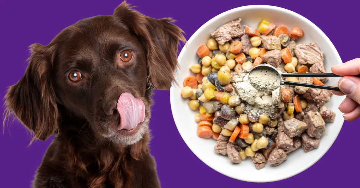 Can Dogs Have Chickpeas?