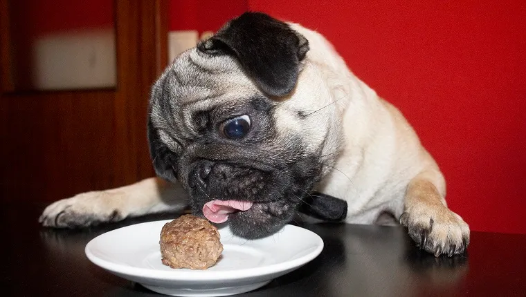 Can Dogs Have Meatballs?