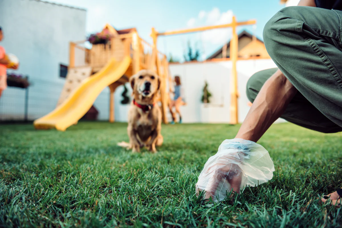 How to Clean Dog Poop Off Shoes