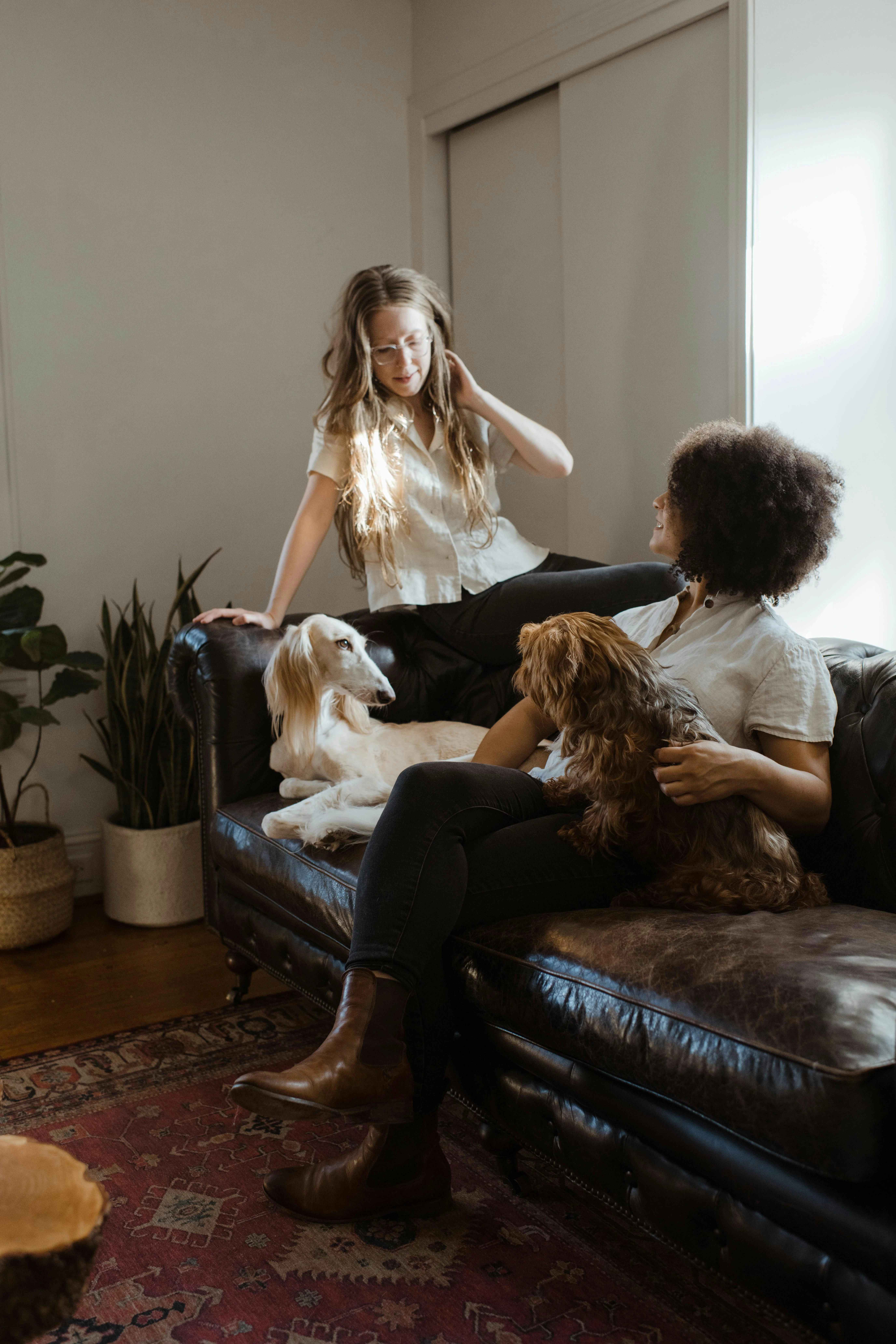 The Physical Health Benefits of Dog Ownership