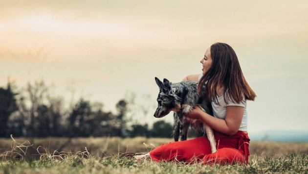 The Power of Videos in Dog Advertisements