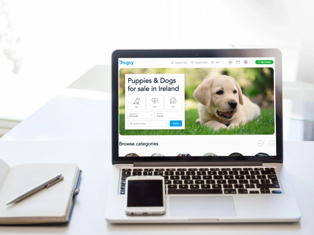 Where Can I Advertise Dogs for Sale?