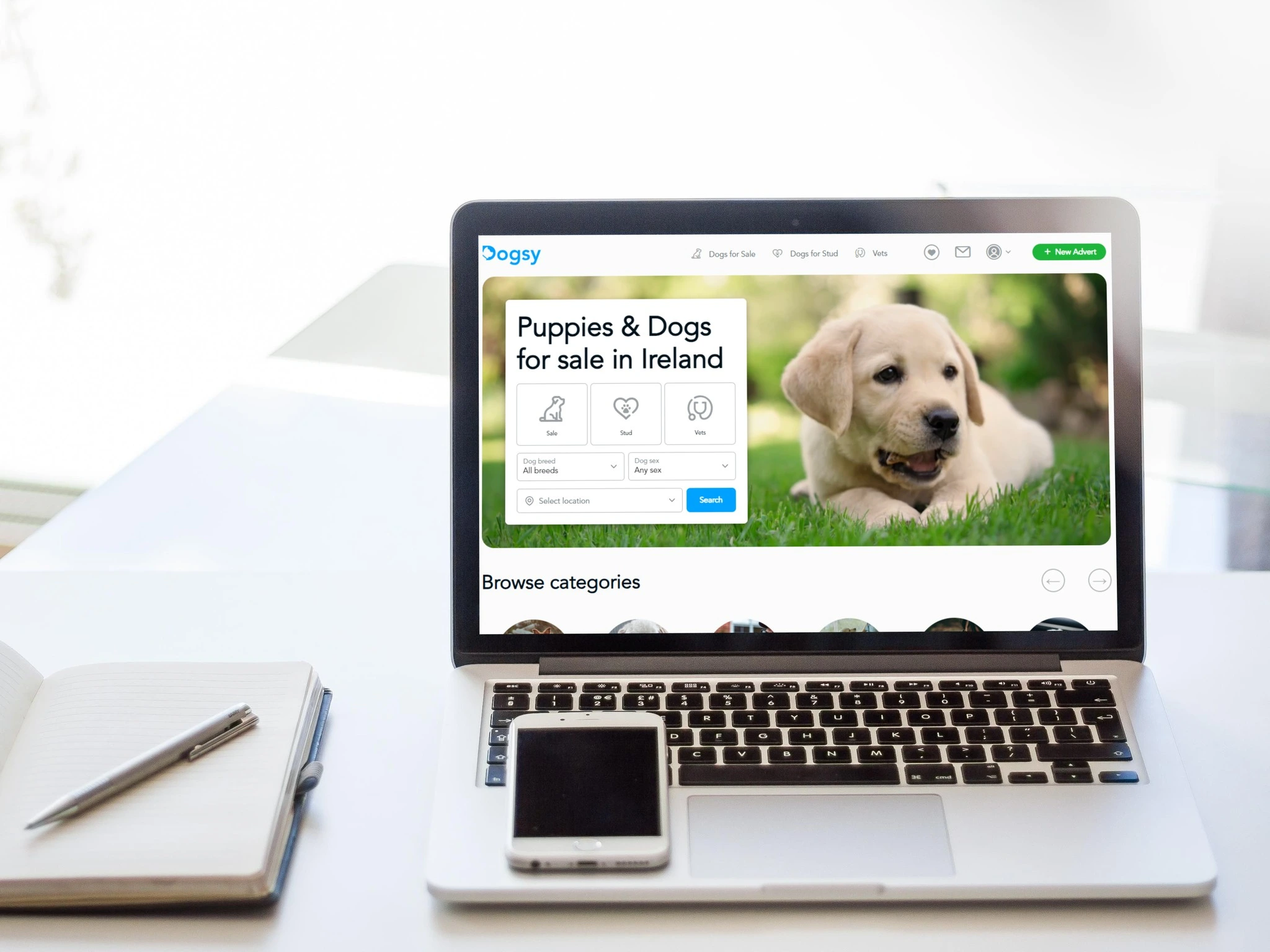 Where Can I Advertise Dogs for Sale?