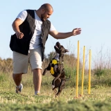 Dog Training