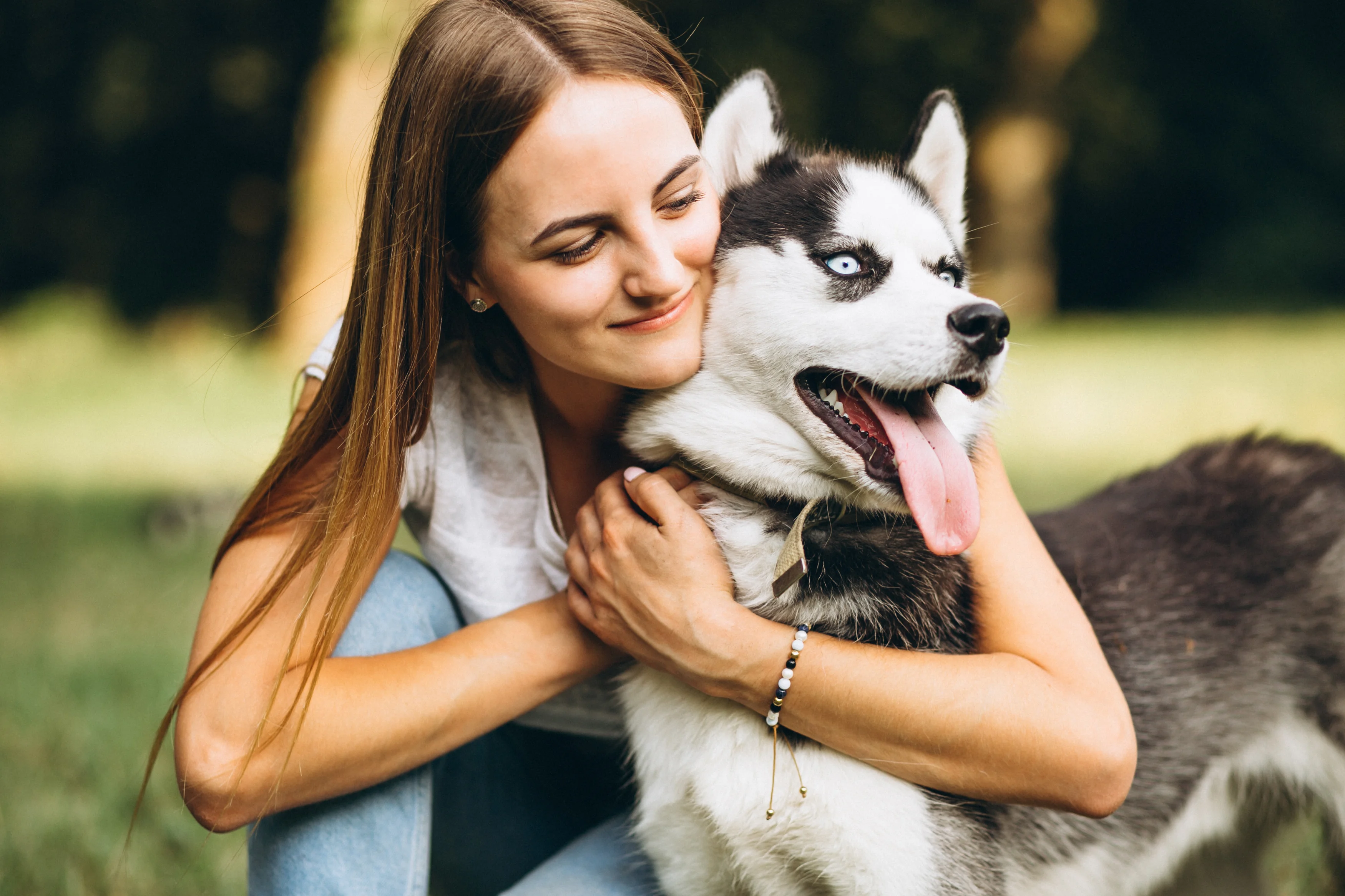 Emotional support dogs
