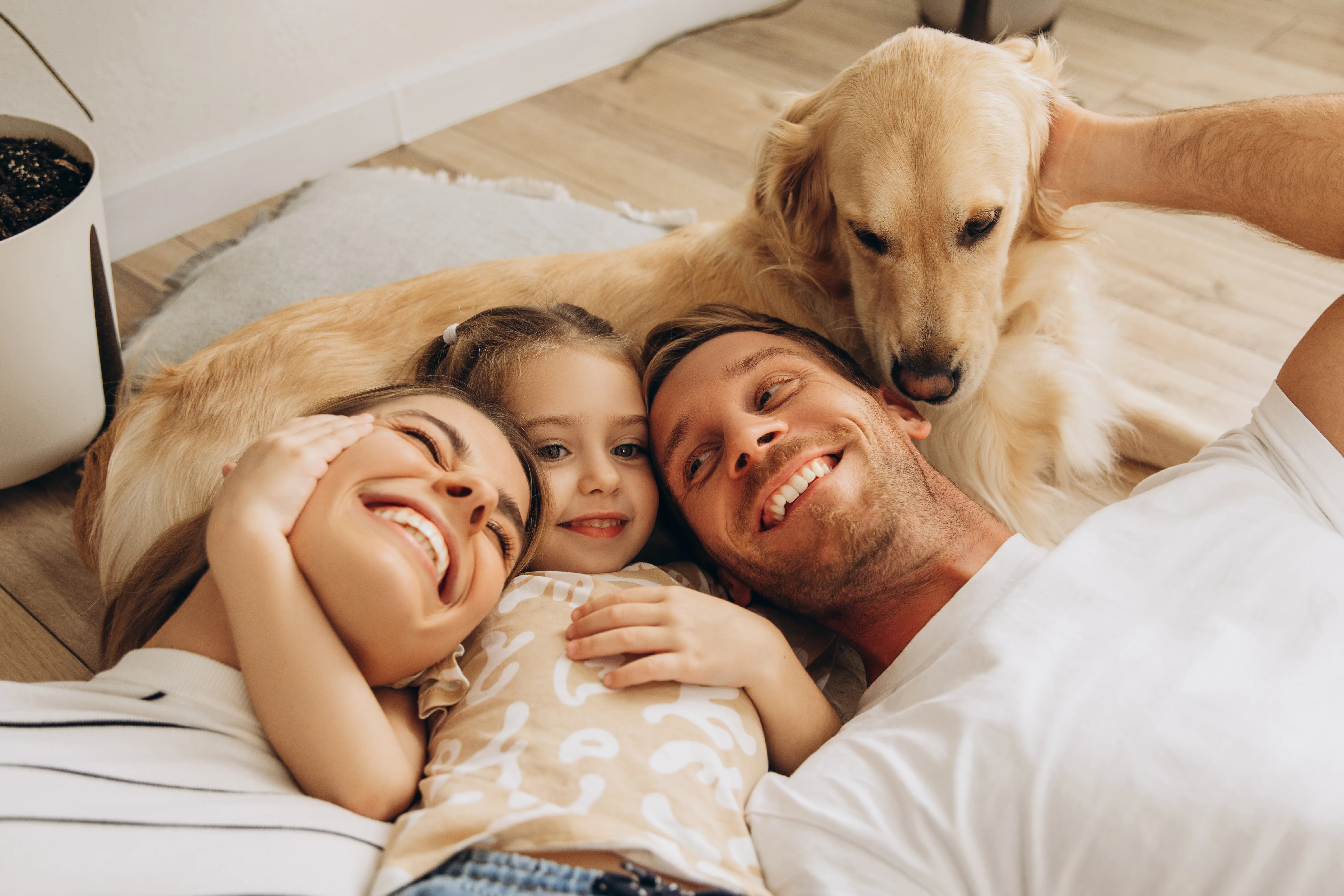 Family dogs